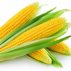 Приложение кукуруза أيقونة