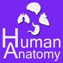 Human Anatomy APK