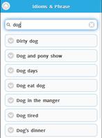 Idioms and Phrase Screenshot 1