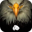 AppLock Theme Eagle aplikacja