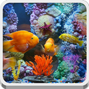 Ocean World APK