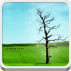 Tirisfal Glades APK