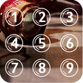Applock Theme Camera