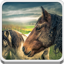 Horses APK