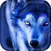 ”Applock Theme Wolf Night