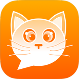 Cat Chat Room