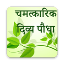 Ayush Herbal Remedies APK