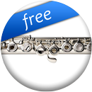 Pro Flute Fingerings Free APK