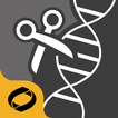 Restriction Enzyme Tool