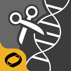 Restriction Enzyme Tool-icoon