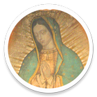 Virgen de Guadalupe Santuario icono