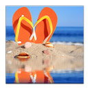 Flipflop Locale Plugin APK