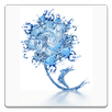 TDS Water Quality Crowdsource APK