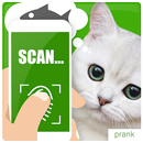 What cat want scanner joke APK
