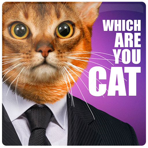 Какой ты кот? сканер joke