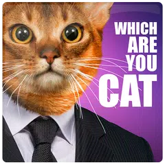 Welche Katze sind Sie Scanner APK Herunterladen