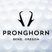 Pronghorn