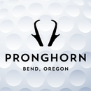 Pronghorn aplikacja