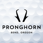 Pronghorn icono