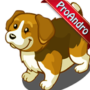 Healthy Diet for Dog: Natural Dog Food Recipes APK