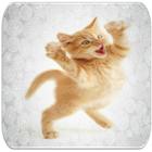 Cat fight sounds icon