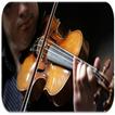 Violin sounds