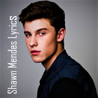 Shawn Mendes Lyrics Pro-icoon