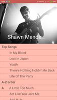 Shawn Mendes Lyrics Pro Cartaz