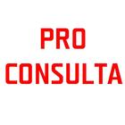 آیکون‌ PRO CONSULTA - CONSULTA CPF