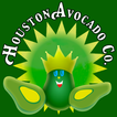 Houston Avocado