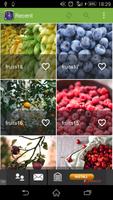 Fruits wallpaper Affiche