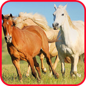 Horse-spirit game 2 icon
