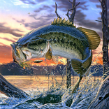 Fishing Games Free 3D