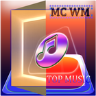 Fuleragem - MC WM  Novas musicas आइकन