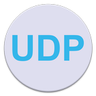 ikon Simple UDP Tester