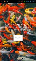 Koi Fish Guide پوسٹر