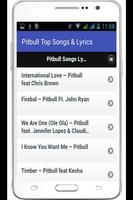 Pitbull Top Songs & Lyrics Affiche