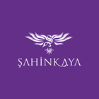 cepokul - Şahinkaya আইকন