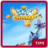 TIPS for SkyChamp