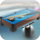 Pro Pool Mania Zeichen