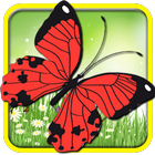 Papillon Memory Match icône