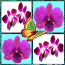 Pick Flower Game Free APK