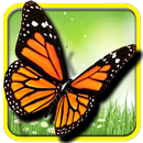 Jeu Papillon gratuit APK