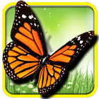 Butterfly Game Free آئیکن