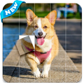 Jigsaw Puzzle Cutest Dog