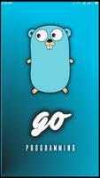What is Go Programmming постер