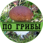 По грибы biểu tượng