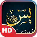 Yasin Offline APK