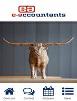 برنامه‌نما E-Accountants عکس از صفحه