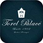 Torel Palace icon